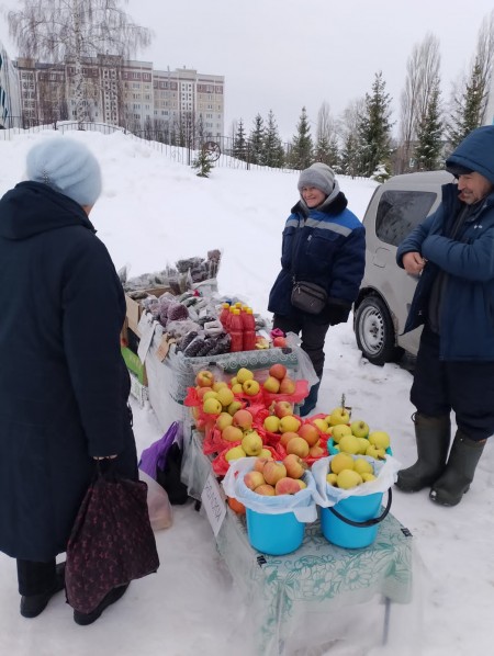 В Камских Полянах проходят предновогодние ярмарки копия