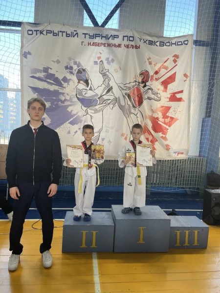 Турнир по тхэквондо на призы Деда Мороза