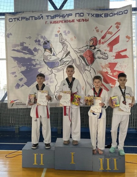 Турнир по тхэквондо на призы Деда Мороза