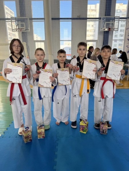 Турнир по тхэквондо на призы Деда Мороза