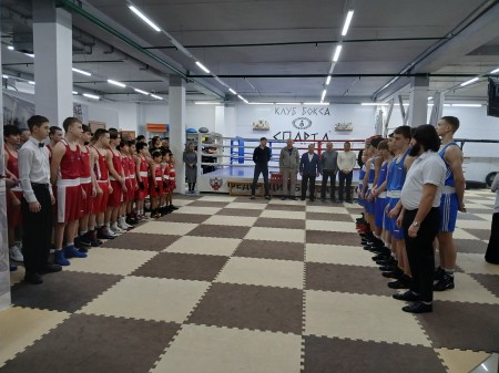 Матчевая встреча по боксу, посвященная памяти тренера по боксу И. Н. Хайретдинова